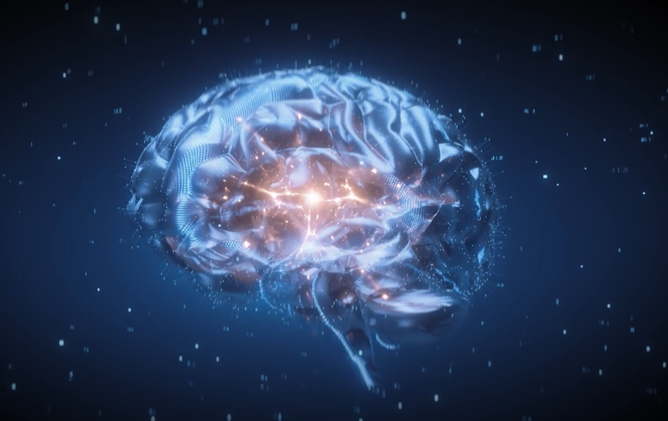 what is the quantum brainwave protocol™